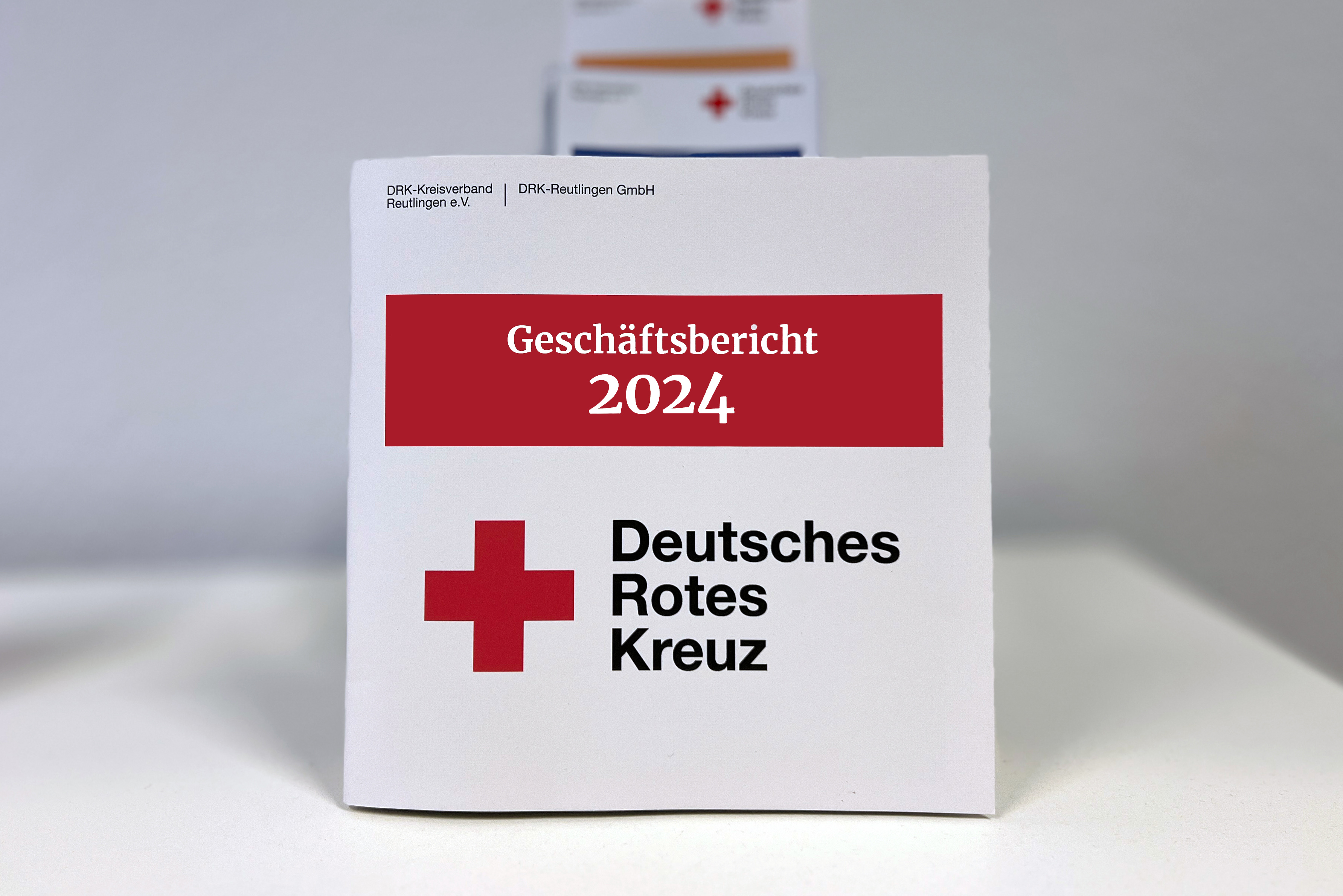 Abbildung Geschäftsbericht 2024
